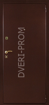 Фотография «Дверь Порошок №32»